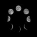 moon cycles